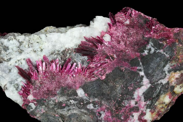 Vibrant, Magenta Erythrite Crystals - Morocco #93594